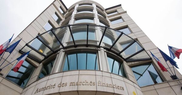 شركات التداول النصابة